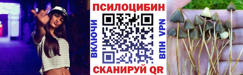 Псилоцибиновые грибы мицелий  Купить  Алзамай 